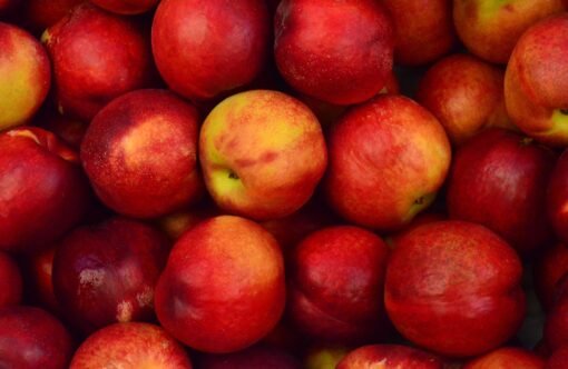 pomme bio red topaz vrac