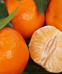 clementine sanguine bio vracvrac