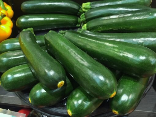 courgette verte